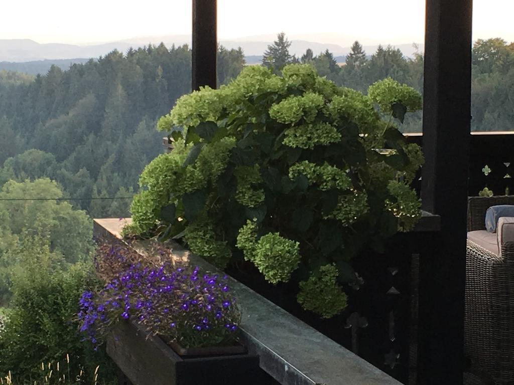 Apartment Landhausvilla Strittberg 7 Hoechenschwand
